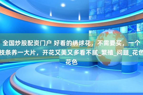 全国炒股配资门户 好看的绣球花，不需要买，一个枝条养一大片，开花又美又多看不腻_繁殖_问题_花色