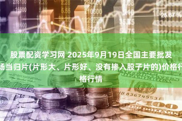 股票配资学习网 2025年9月19日全国主要批发市场当归片(片形大、片形好、没有掺入股子片的)价格行情